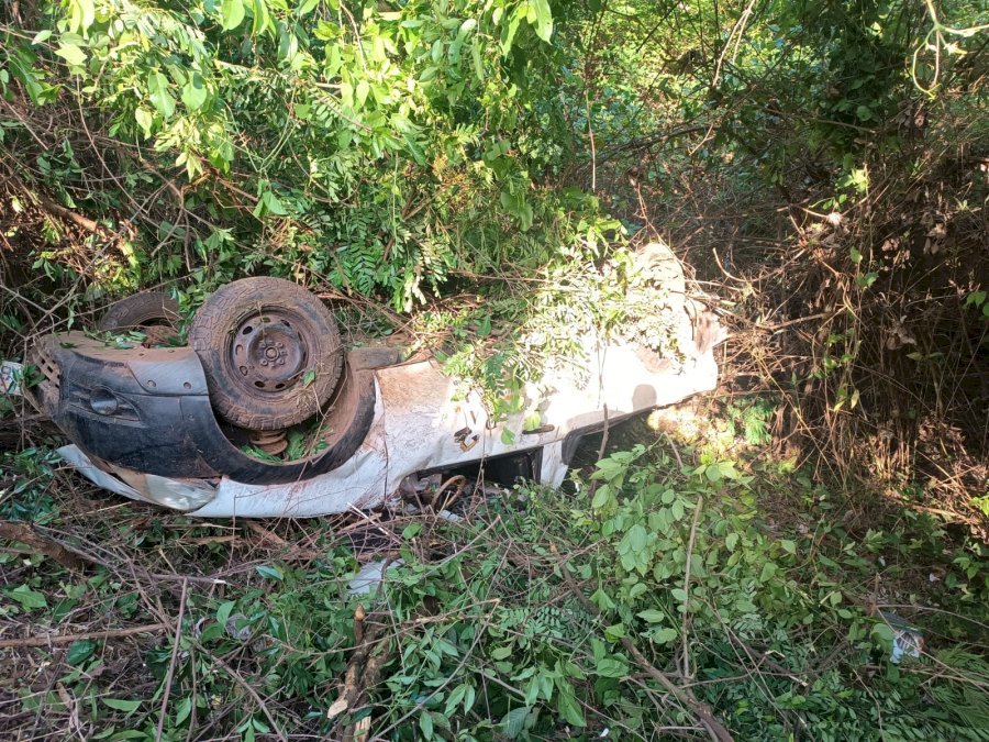 Motorista capota veículo ao desviar de capivaras na BR 060