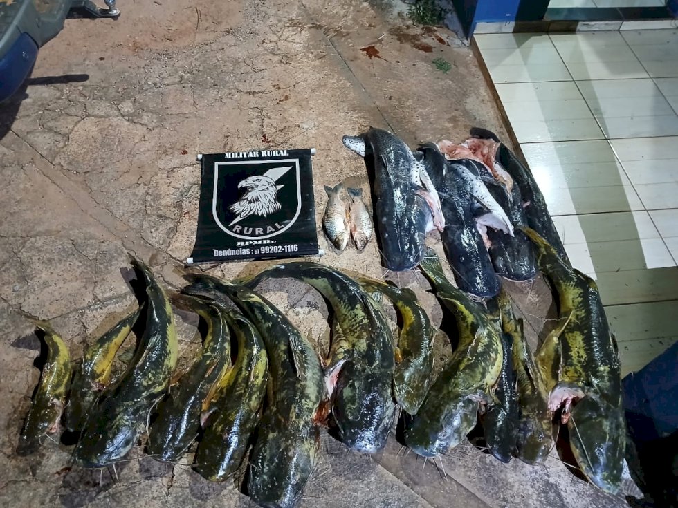Polícia Militar Ambiental flagra 5 pessoas praticando pesca predatória e apreende 116 kg de pescado