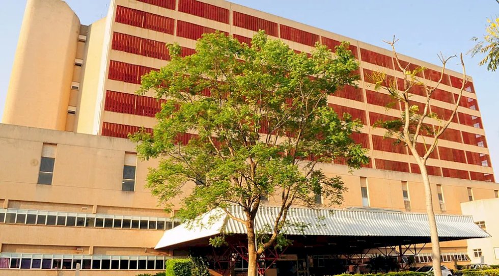 Menino leva mais de mil picadas de abelha e fica em estado grave em hospital de MS