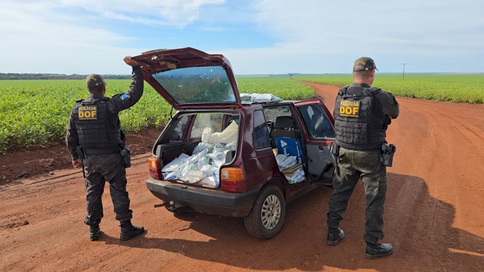 Veículo carregado com 400 quilos de agrotóxicos e pneus ilegais é apreendido pelo DOF