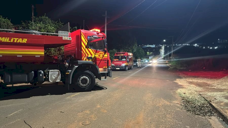 Enxame de abelhas mata cachorros e mobiliza Corpo de Bombeiros em Nova Andradina