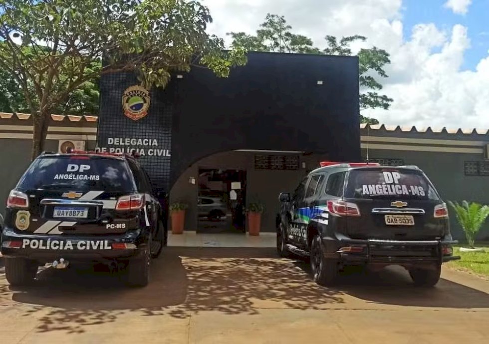 Angélica - Polícia Civil, com apoio da Polícia Militar, prende em flagrante suspeito de furto