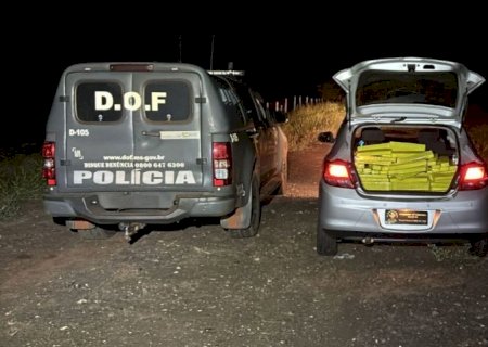 DOF apreende mais de 350 quilos de drogas que seguiam para São Paulo