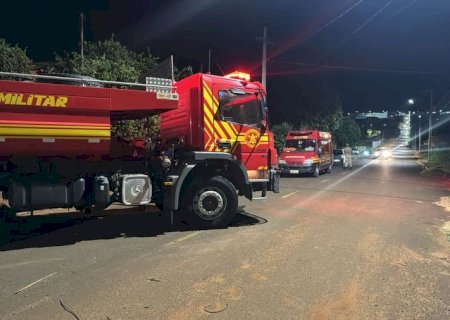 Enxame de abelhas mata cachorros e mobiliza Corpo de Bombeiros em Nova Andradina
