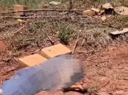 Capotamento de veículo revela transporte de drogas, e jovem fica em estado grave