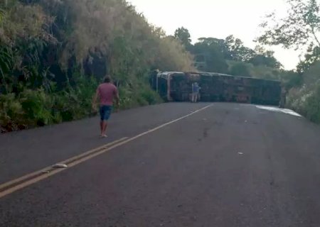 Douradense morre após tombar carreta carregada com porcos no RS