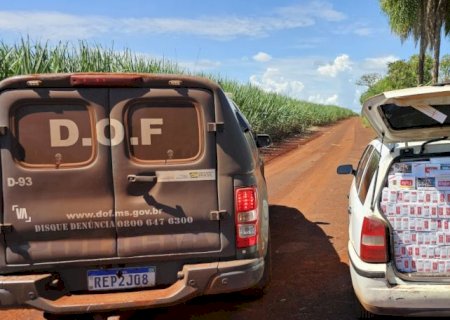 Veículo carregado com produtos ilegais é localizado em mata e apreendido pelo