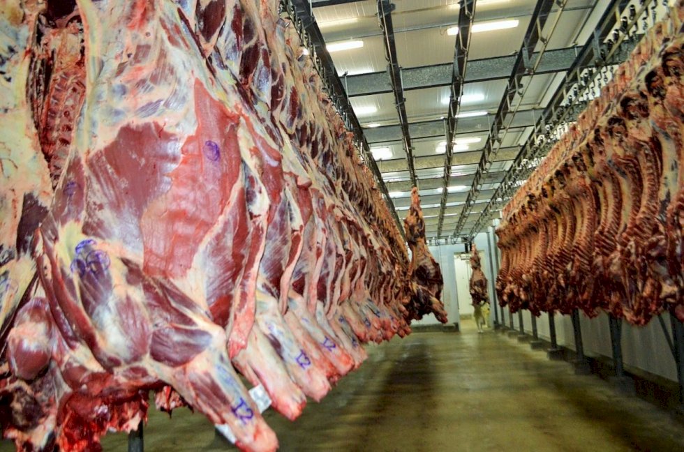 Brasil poderá exportar até 300 mil toneladas de carne bovina ao Vietnã