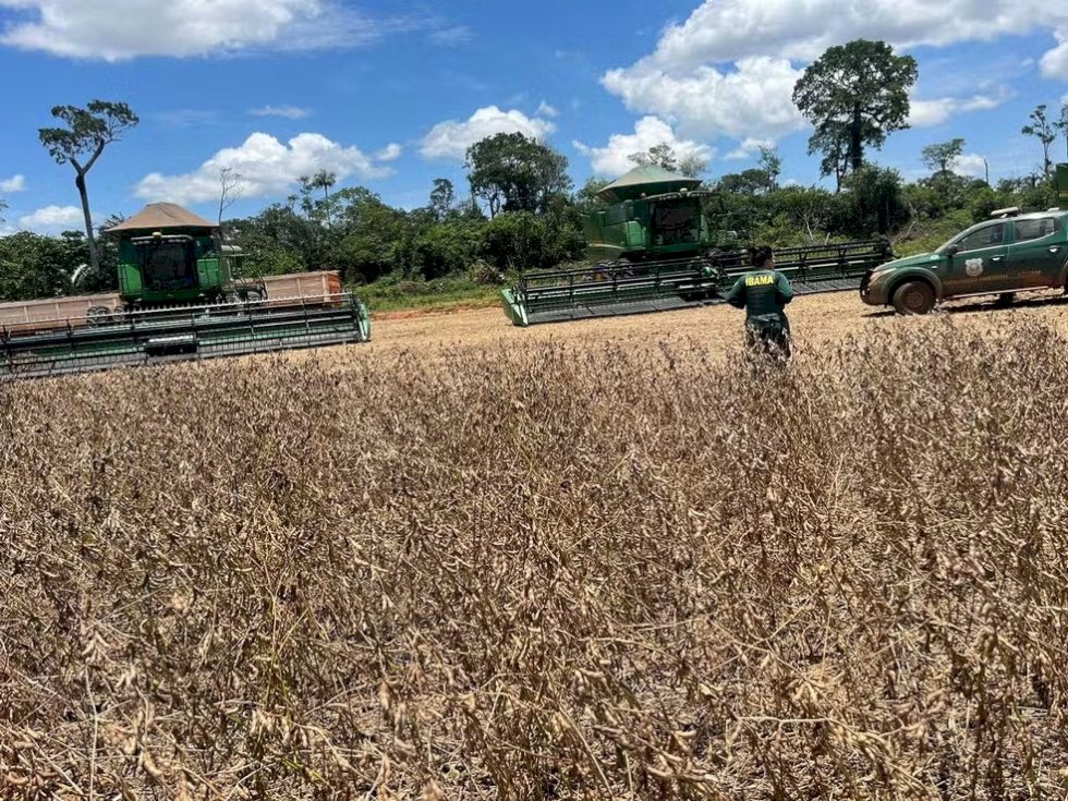 Máquinas agrícolas e mais de 72 mil kg de soja são apreendidos em operação contra desmatamento ilegal em MT