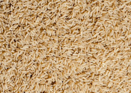 Exportação de arroz fica em R$ 82 a saca e dá direção aos preços internos