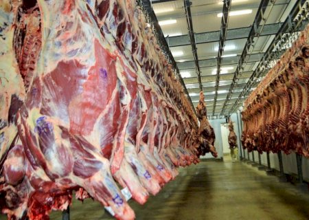 Brasil poderá exportar até 300 mil toneladas de carne bovina ao Vietnã