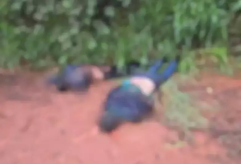 Dois corpos foram encontrados na região da fronteira do MS