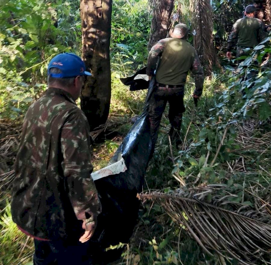 PMA localiza corpo de caseiro morto em ataque inusitado e fatal por onça