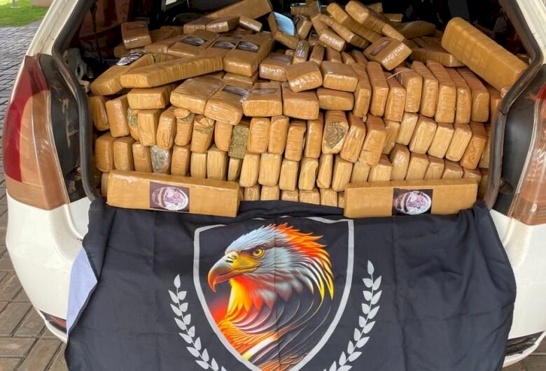 Polícia apreende mais de 700 quilos de maconha