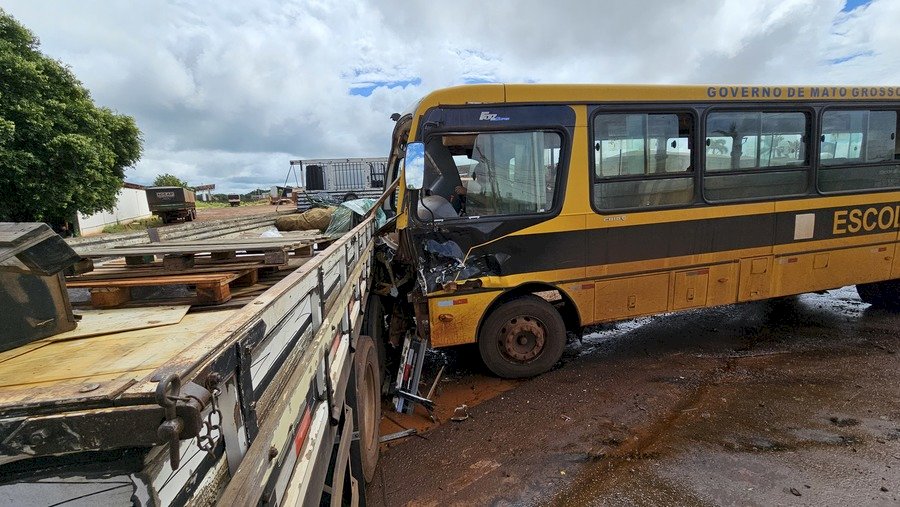 Ônibus escolar colide em caminhão que tentou atravessar rodovia