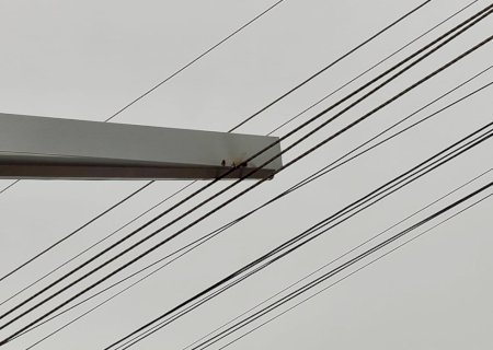Ivinhema - Jovem sofre descarga elétrica ao manusear calha metálica
