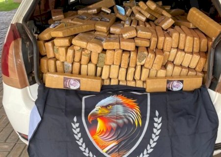 Polícia apreende mais de 700 quilos de maconha