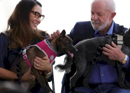 Lula lança programa de identificação e proteção de cães e gatos