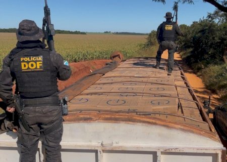 DOF apreende mais de 42 mil pacotes de cigarros contrabandeados em carreta