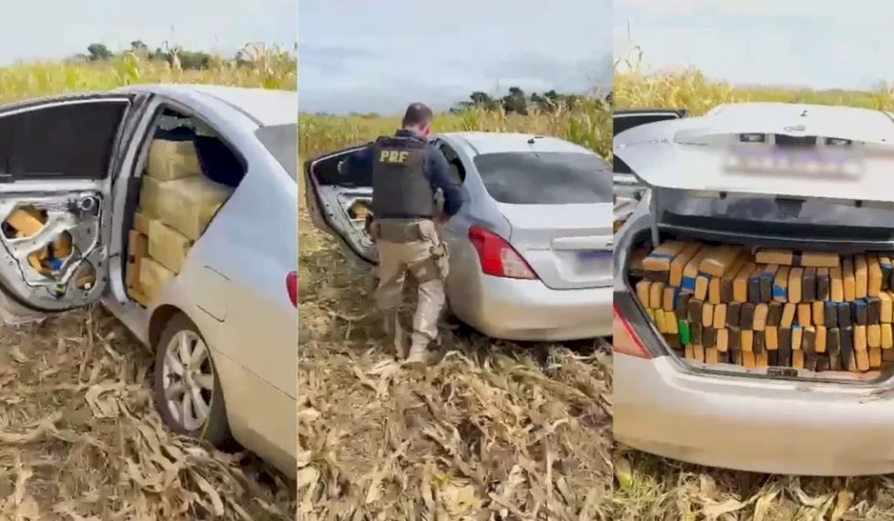 PRF apreende 1,2 tonelada de maconha