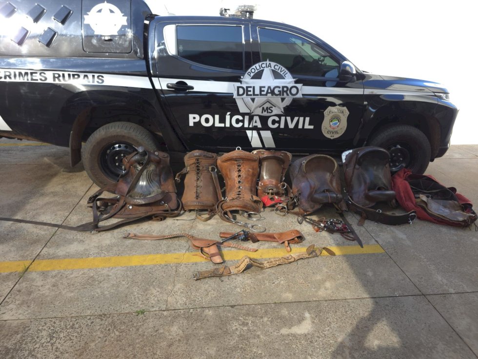 Polícia Civil prende homem por apropriação indébita em propriedade rural