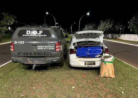 DOF apreende mais de 160 quilos de drogas que seguiam para Minas Gerais