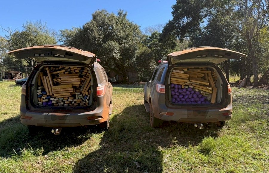 Batalhão de Choque apreende mais de 700 Kg de maconha em propriedade