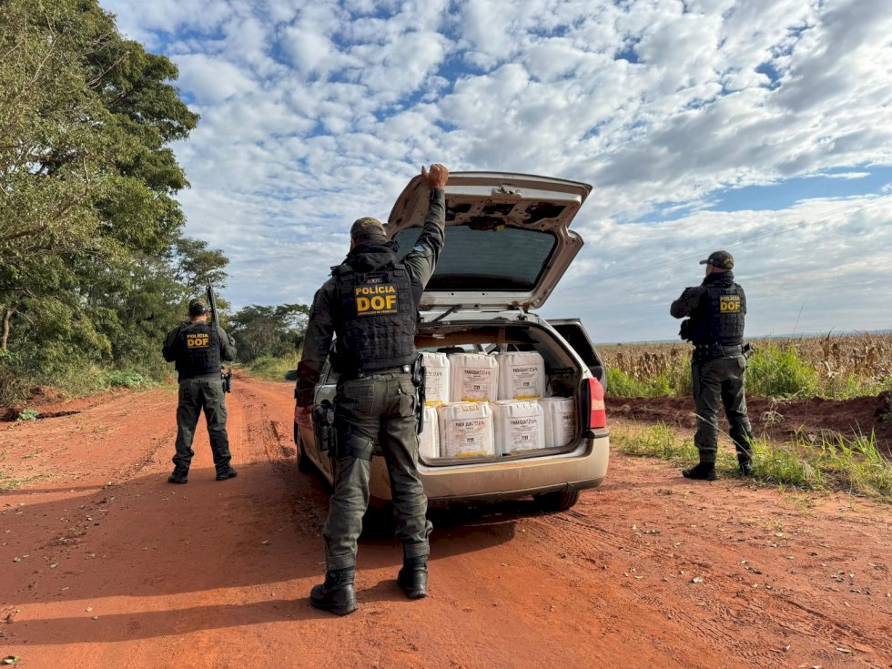 DOF apreende veículo carregado com agrotóxicos