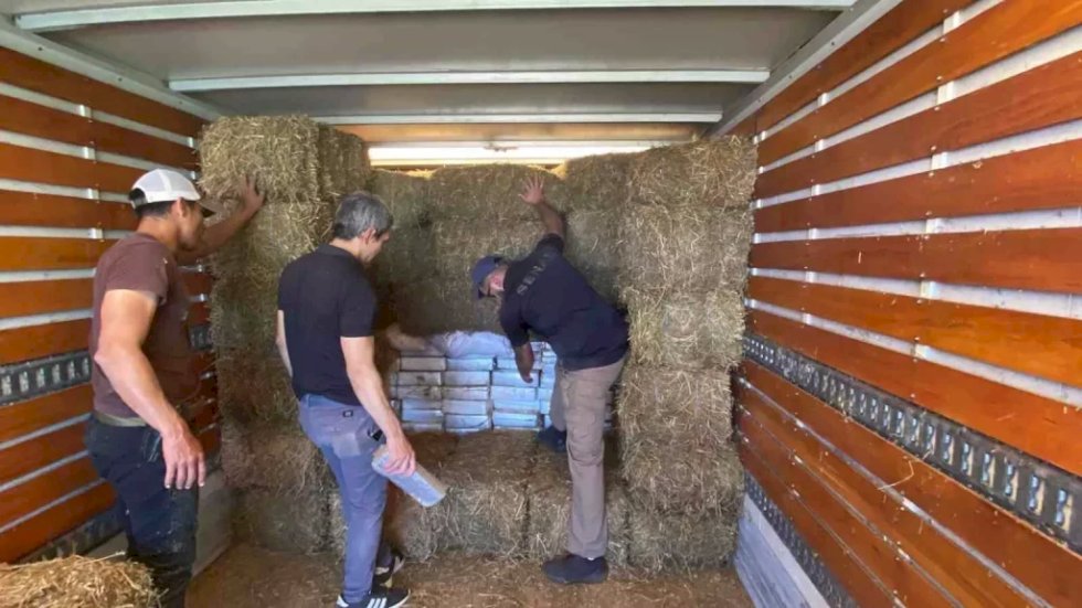 Carga de maconha escondida em alfafa é apreendida na fronteira com MS