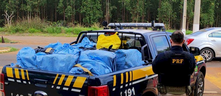 PRF apreende maconha, cocaína e haxixe na BR-262