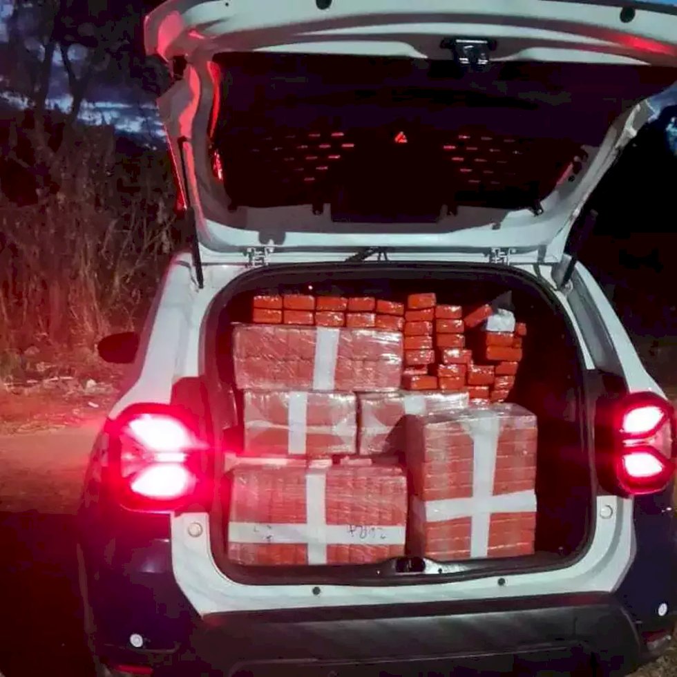 Reintegração de posse revela depósito de maconha em residência