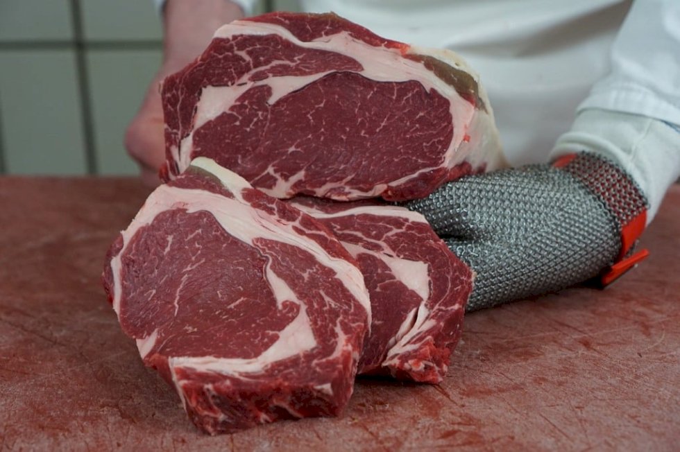 Carne bovina: Abrafrigo prevê perda de US$ 1,3 bilhão em 2025 com tarifa dos EUA