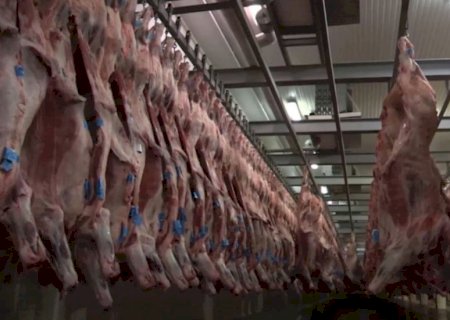 Apesar das preocupações com as tarifas dos EUA, exportações de carne bovina disparam em julho e superam volume de 2024