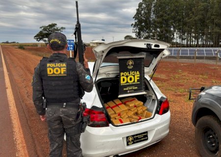 DOF apreende veículo que seguia para o Paraná com drogas e