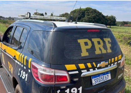 Ivinhema - PRF apreende caminhão que transportava 33 cavalos de forma irregular e sob maus tratos