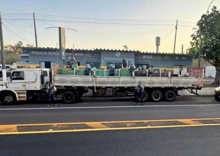 7,8 toneladas de drogas que saiu do MS, é apreendida pela Policia Rodoviária de São Paulo