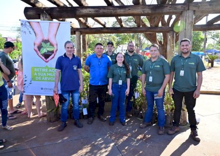 Prefeitura de Ivinhema e Adecoagro realizam doação de mudas de arvores