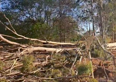 Novo Horizonte do Sul - Moradores de Gleba estão a 04 dias sem energia