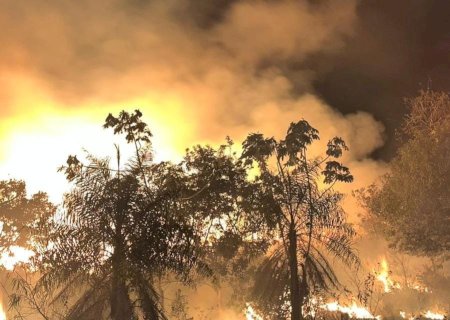 Bombeiros combatem incêndio em vegetação em fazenda na cidade de Batayporã