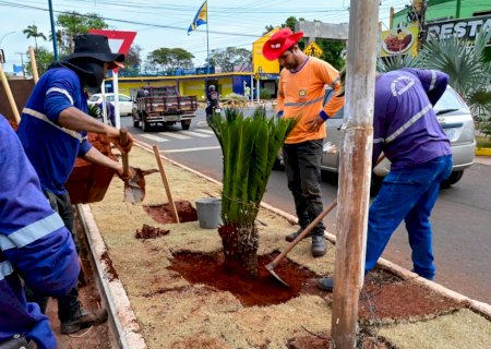Avenida Reinaldo Massi em Ivinhema está sendo revitalizada