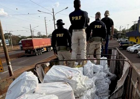 PRF apreende mais de 7 toneladas de maconha