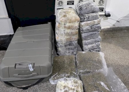 Polícia Civil prende passageira com quase 20kg de skunk em ônibus de turismo