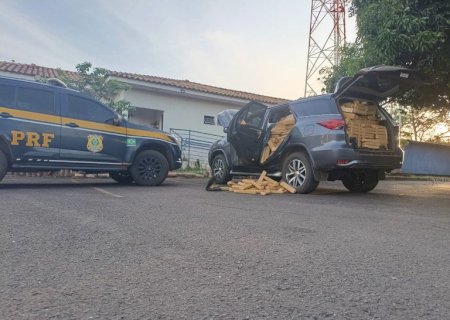 PRF apreende 1,3 tonelada de maconha na BR-060