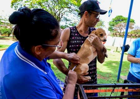 Ivinhema intensificou vacinação antirrábica com dia “D”