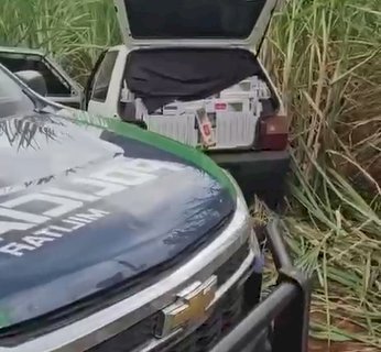 PMA apreende comboio com cigarros realizada na rodovia MS-380