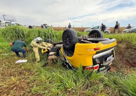PRE morre em acidente na PR - 323, e dois cães farejadores sobrevivem