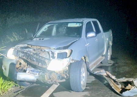 Colisão com anta é registrada na MS-316 entre Paraíso das Águas e Pouso Alto