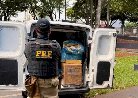 Polícia Rodoviária Federal apreendeu 351 Kg de maconha na BR -463