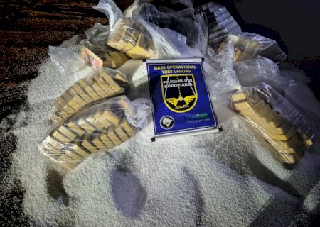 Carga de droga avaliada em R$ 13,5 milhões é encontrada em caminhão após tombamento na MS-040