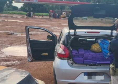 Ivinhema - Polícia Rodoviária Federal apreendeu 213 Kg de maconha, na BR-376